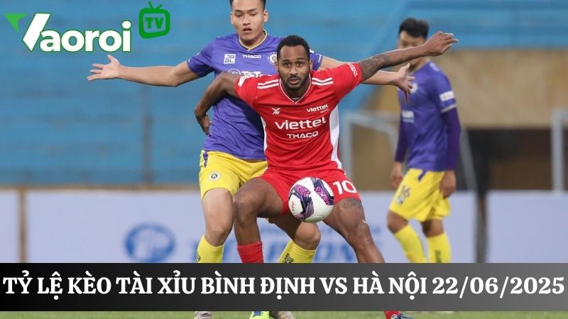 Kèo tài xỉu Bình Định vs Hà Nội