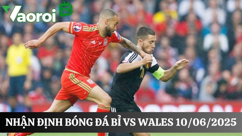 Bỉ vs Wales