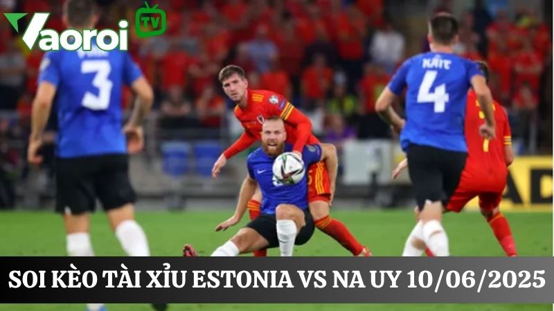 Soi kèo tài xỉu Estonia vs Na Uy