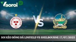 Soi kèo Linfield vs Shelbourne, 01h45 ngày 17/07/2025