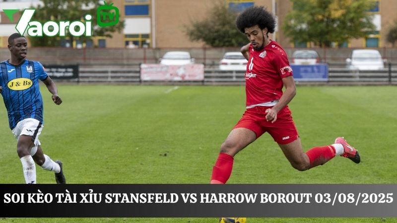 Phân tích kèo tài xỉu Stansfeld vs Harrow Borough