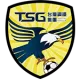 Logo Tainan City Steel