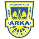Logo Arka Gdynia