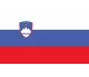 Logo Slovenia U21