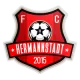 Logo Hermannstadt