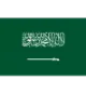 Logo Saudi Arabia (w)