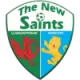 Logo The New Saints