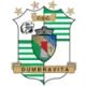 Logo ACS Dumbravita