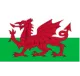 Logo Wales (w)